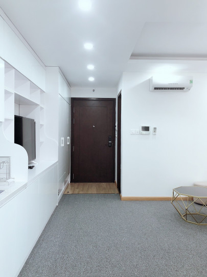 Chính chủ cho thuê căn studio đủ đồ chung cư C2 Vinhomes D'Capitale giá 12.5 triệu/tháng