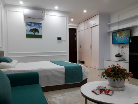 Chính chủ cho thuê căn studio đủ đồ chung cư C2 Vinhomes D'Capitale giá 15 triệu/tháng