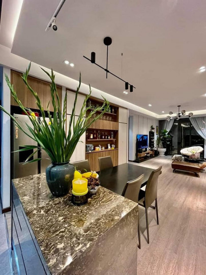 Bán chung cư Dolphin Plaza 28 Trần Bình - Nam Từ Liêm - Hà Nội 186m2 full nội thất, 9.35 tỷ