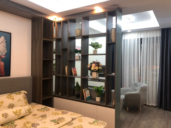 Studio CC Vinhomes D'Capitale, full đồ cho thuê 11 triệu