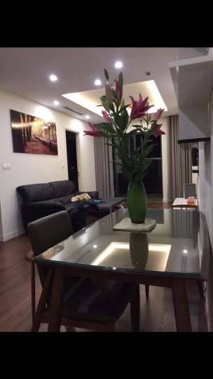 CHO THUÊ CHUNG CƯ 2PN IMPERIA GARDEN 203 NGUYỄN HUY TƯỞNG 17TR FULL NỘI THẤT