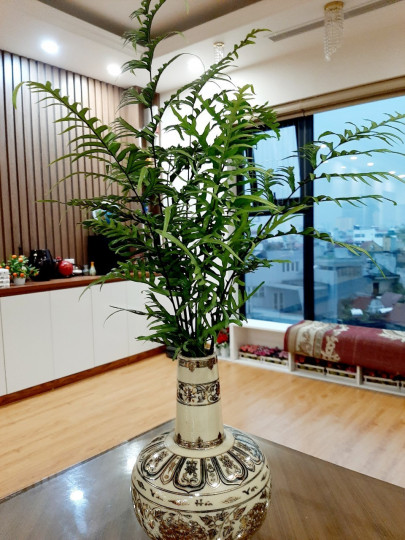 Giá siêu đẹp, chủ gửi bán gấp căn hộ chung cư Paragon, 3 phòng ngủ, full nội thất liền tường đẹp