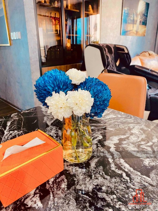 Vợ chồng tôi cần bán căn hộ VIP tháp 1 Dolphin Plaza 191m2, 4N 3WC, 11.5 tỷ.