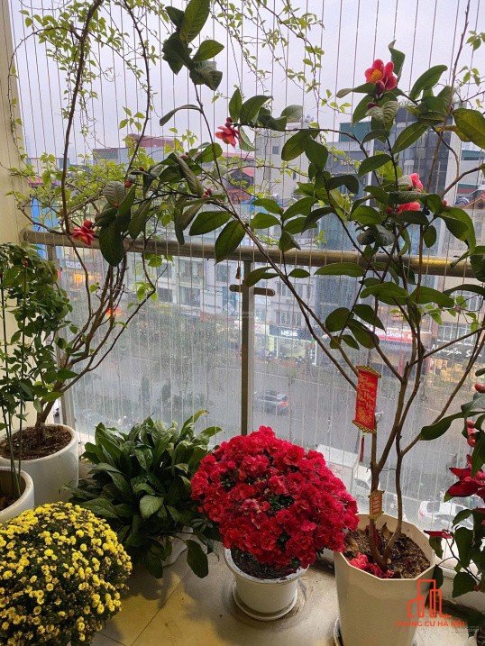 Tôi bán căn hộ 101m2 TK 3pn vị trí 21 Lê Đức Thọ ,chung cư Súnsquear,tầng trung ban công hướng mát.
