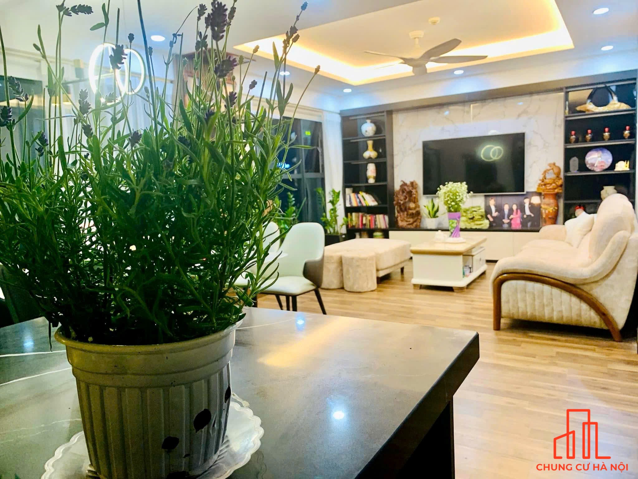 Cực hiếm, căn 1N 1WC tại Dolphin Plaza - 28 Trần Bình. DT: 74m2 sẵn sổ và có slot oto. Giá tốt thương lượng sâu