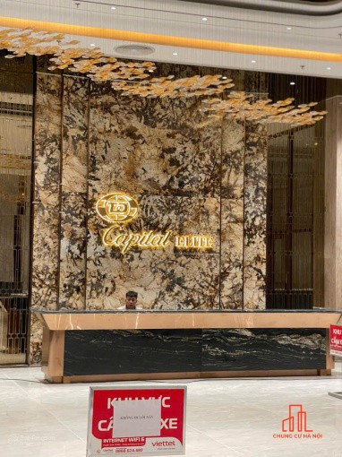 Chính chủ bán căn góc 3PN Capital Elite 114m2 tầng trung giá 10.5 tỷ